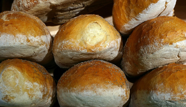 Ilustrační fotka, www.freeimages.com