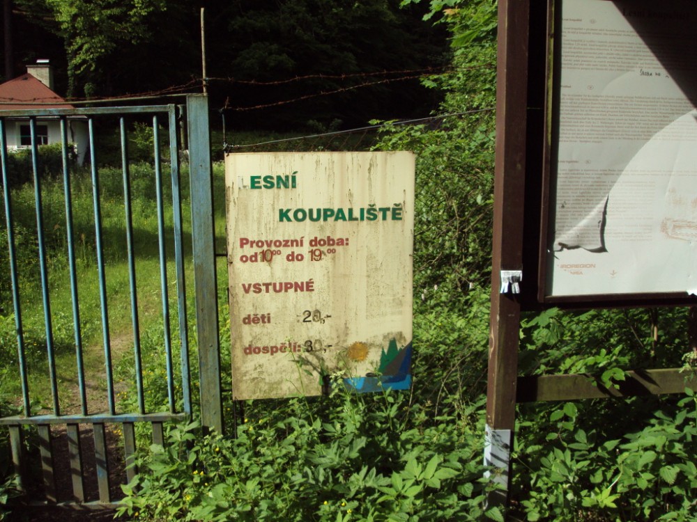 Lesní Koupaliště