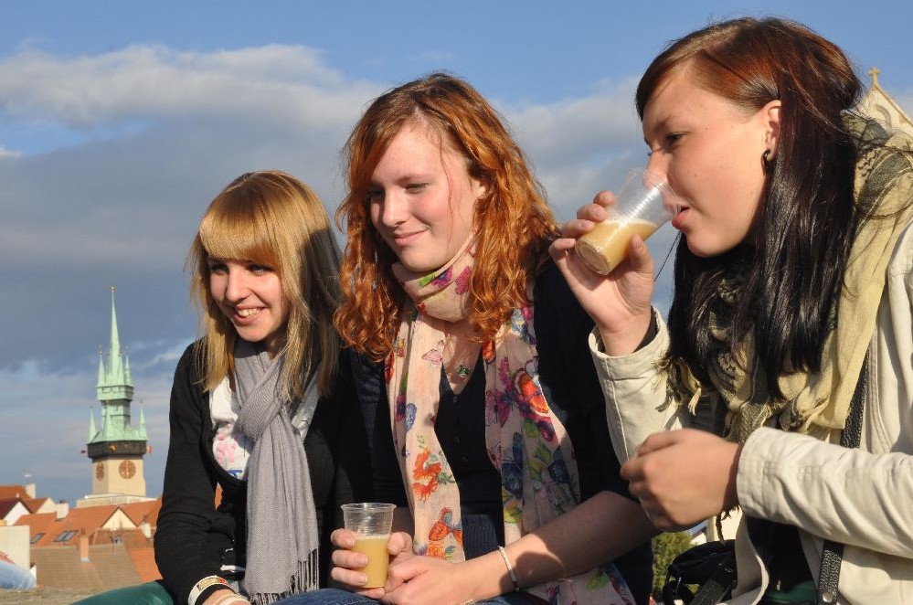 	Znojemské historické vinobraní, foto: Znojemské vinobraní