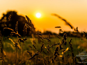 Západ slunce na podvečerní louce