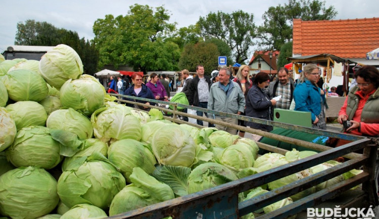 Na Zelnobraní se stály u stánků fronty, zájem byl obrovský