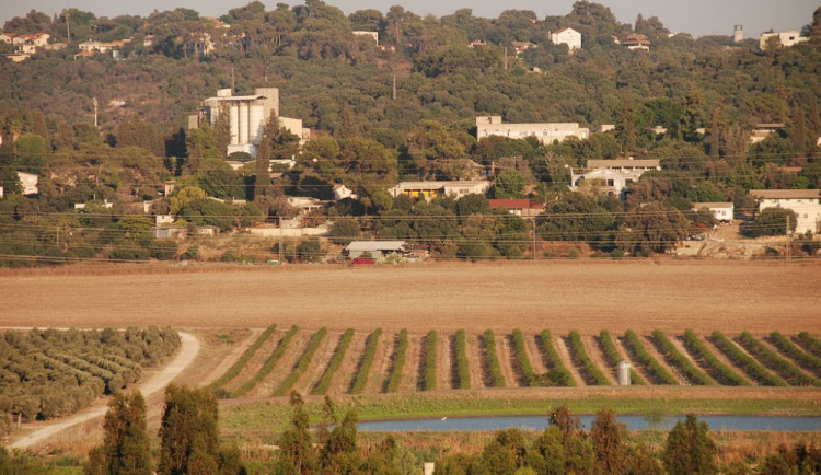 EK schválila pokyny jasného označování zboží ze židovských osad. Ilustrační foto