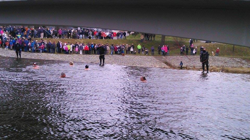 12463901_10207212491942326_1402334619_n