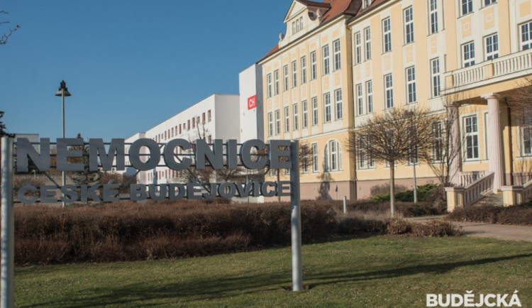 Některé pacienty budějcké nemocnice budou každý měsíc navštěvovat speciálně vycvičení psi