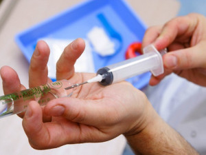 Němeček: Virus zika byl potvrzen u muže a ženy, žena není těhotná