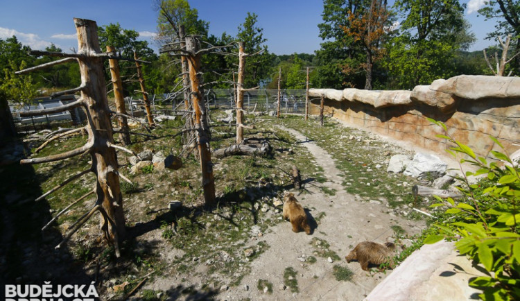 Zoo v Hluboké nad Vltavou loni navštívilo více než 250 tisíc lidí