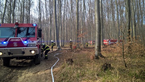 ilustrační foto, firebrno.cz 