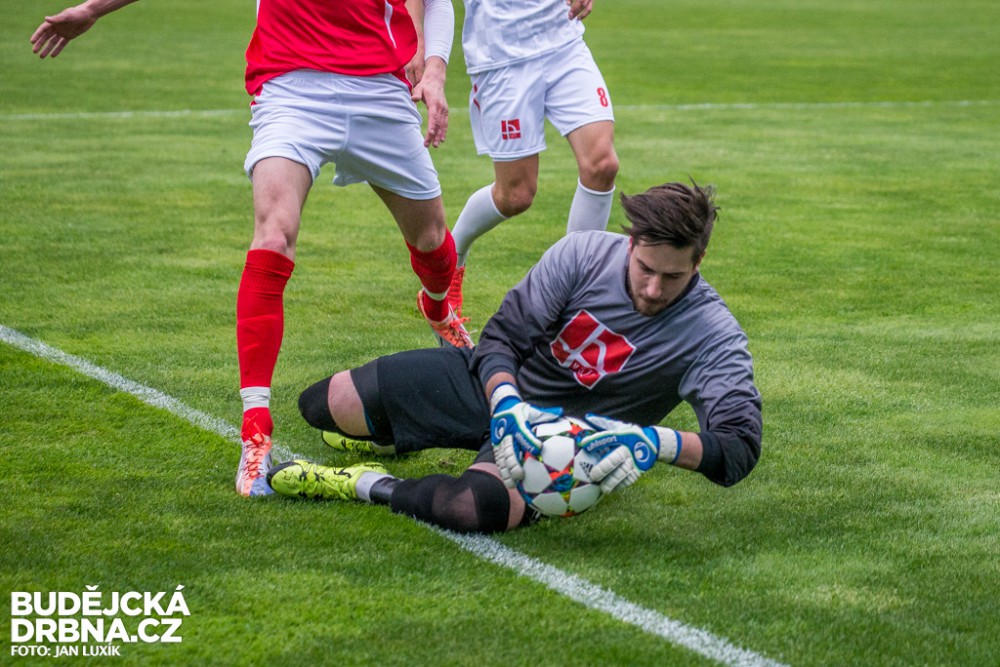 Jihočeská univerzita - Vysoká škola technická a ekonomická