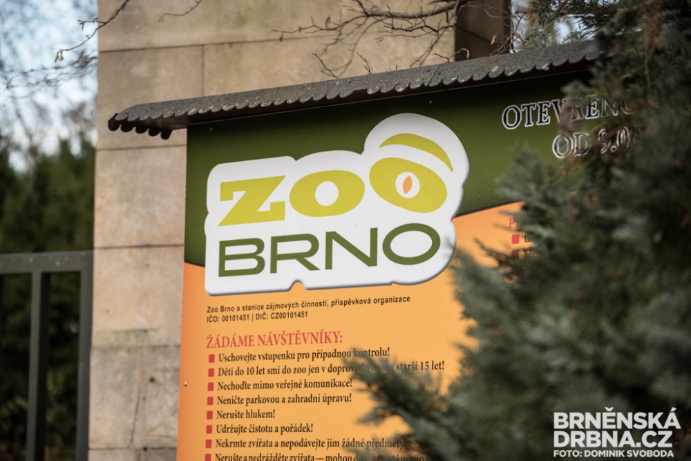 ilustrační foto , autor: Dominik Svoboda