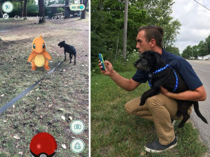 Ekonomie Pokémonů: Oblíbená hra zachraňuje psy z útulku