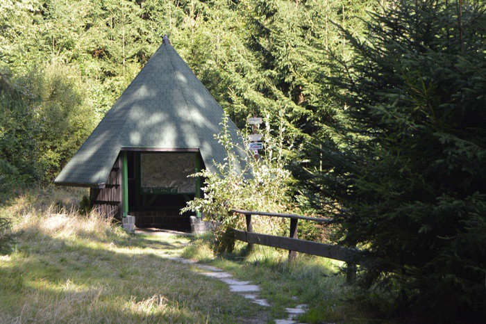 Prameny Odry pod Fidlovým kopcem