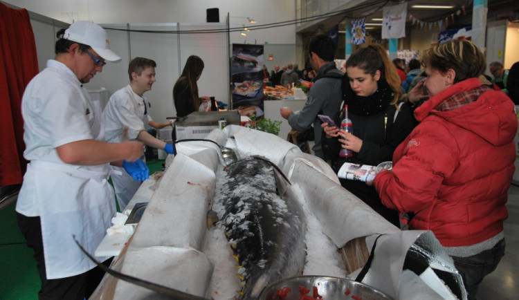 Gastrofest slaví 20. narozeniny a s ním nejlepší kuchaři České republiky