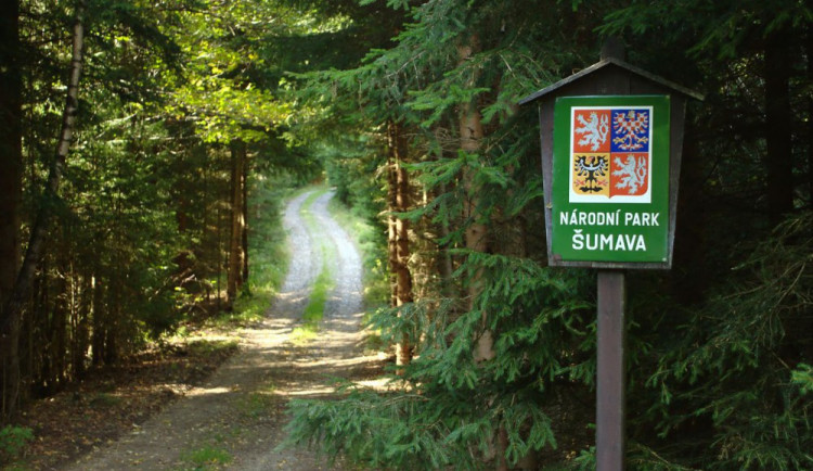 Národní park Šumava