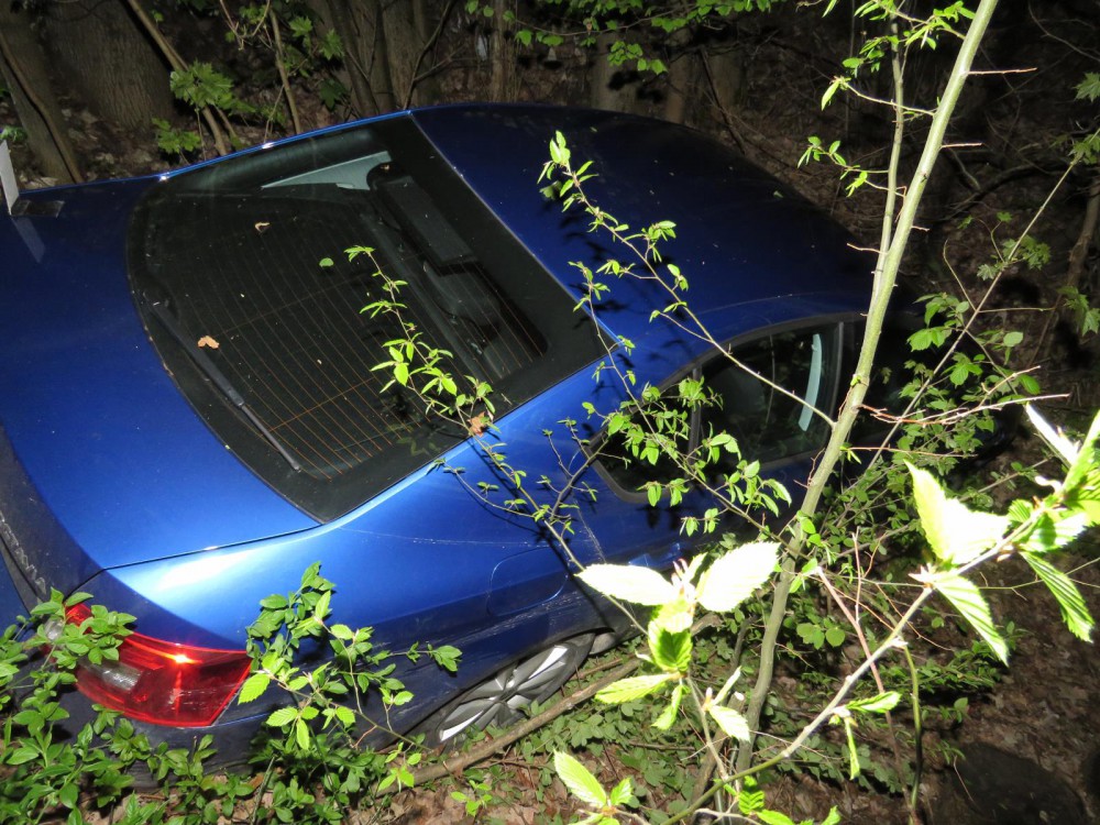 Řidič sjel ze silnice.