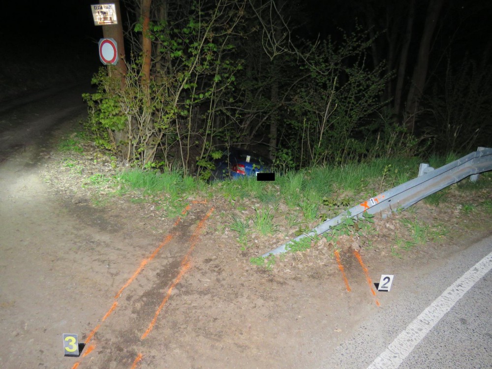 Řidič sjel ze silnice.