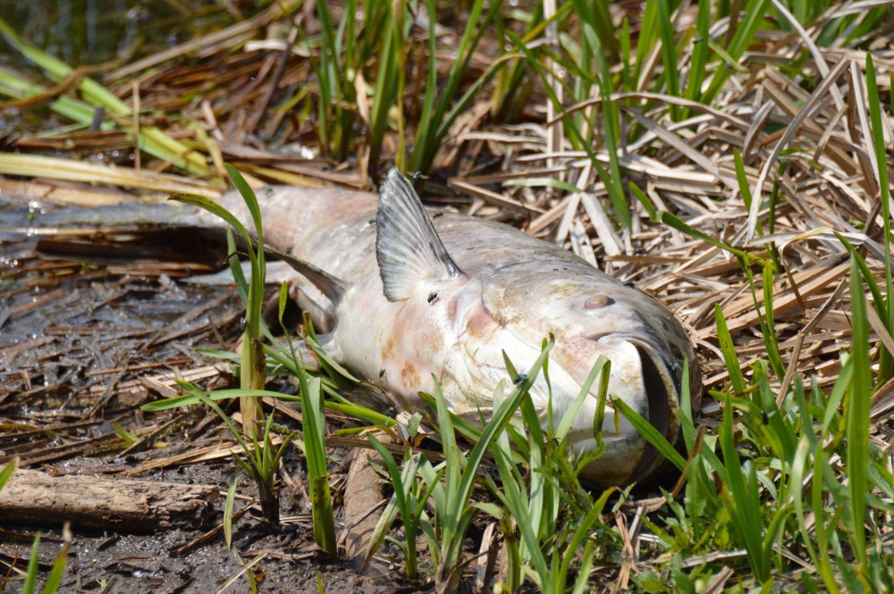 ilustrační fotografie