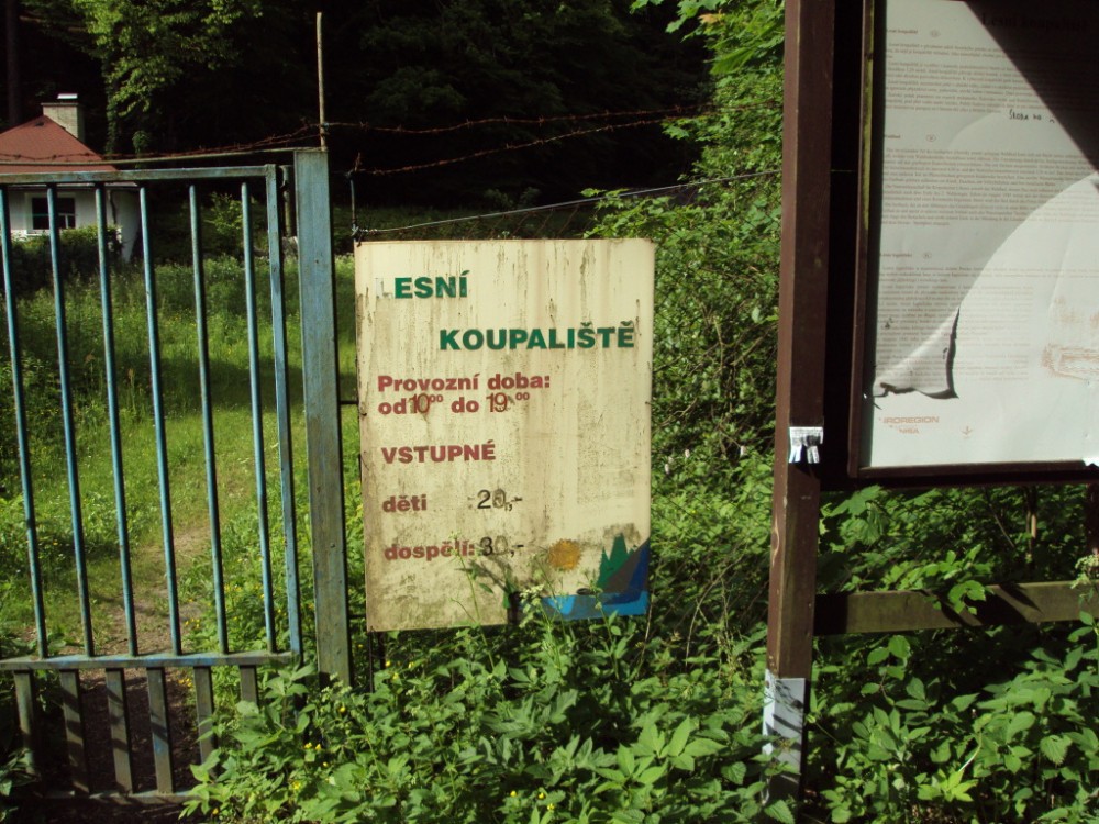 ilustrační foto; Lesní koupaliště