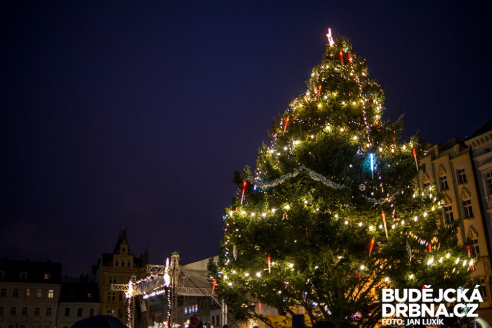 Loňský vánoční strom na náměstí