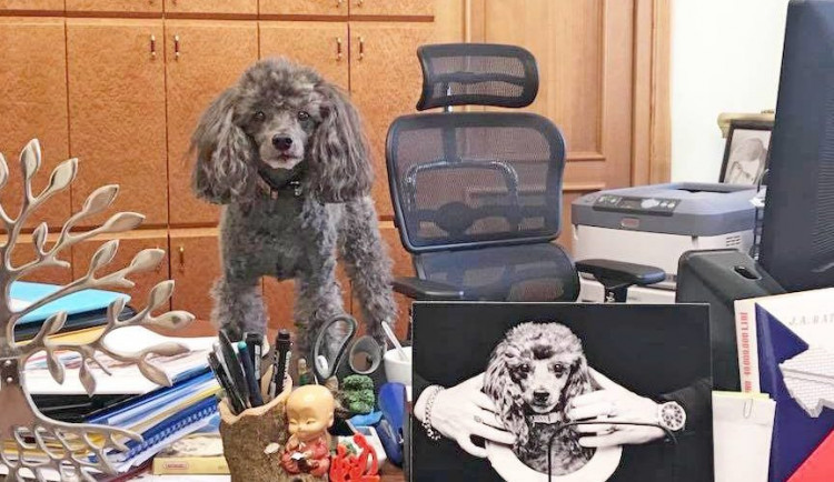 ilustrační foto.