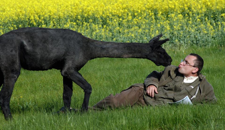 René Franěk a lama.