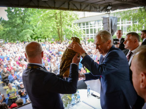 Miloš Zeman, Churchill a prezident s demencí