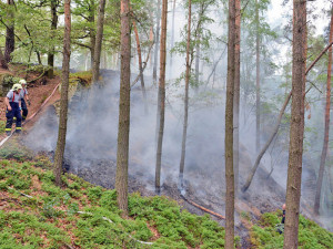 Desítky hasičů bojují už druhým dnem s rozsáhlým požárem lesa.