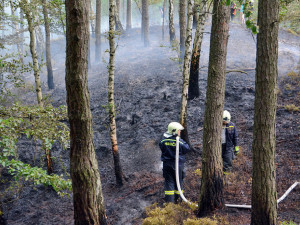 Desítky hasičů bojují už druhým dnem s rozsáhlým požárem lesa.