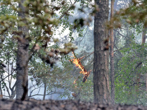Desítky hasičů bojují už druhým dnem s rozsáhlým požárem lesa.