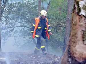 Desítky hasičů bojují už druhým dnem s rozsáhlým požárem lesa.