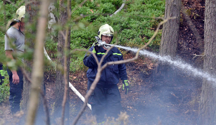 Desítky hasičů bojují už druhým dnem s rozsáhlým požárem lesa.