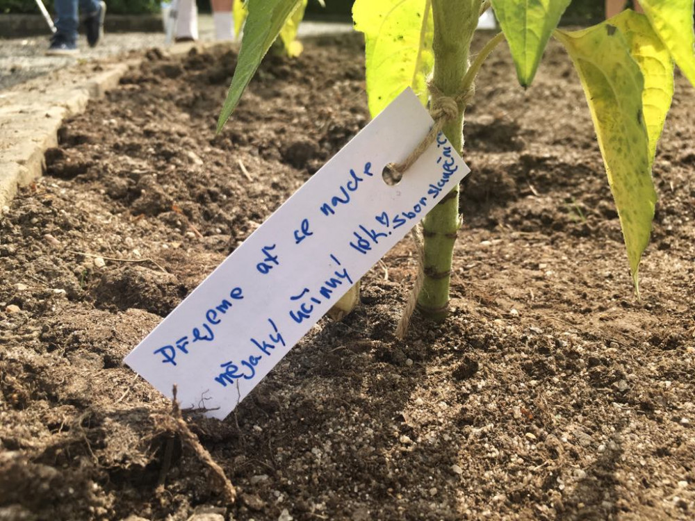 Rozsviťme Českou republiku