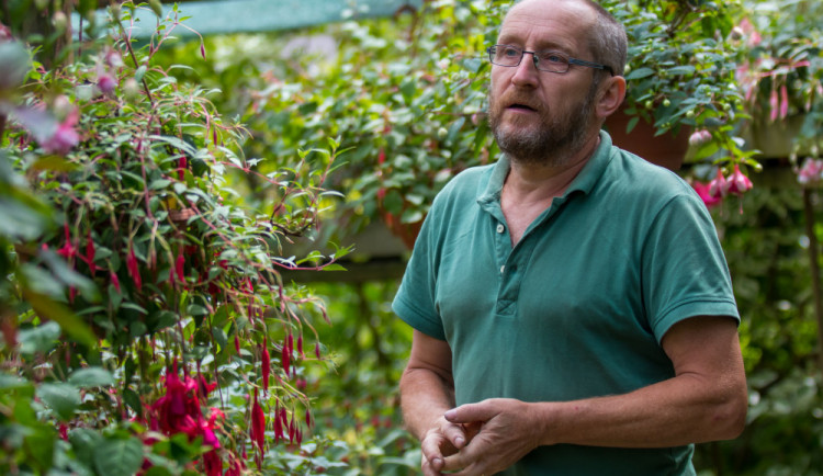 Přes tisíc různých fuchsií uvidíte v těchto dnech v Liberci.