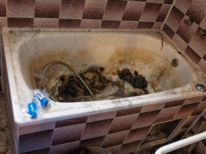 Obrovský nepořádek a smrad.