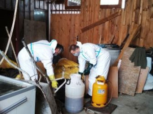 Obrovský nepořádek a smrad.