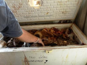 Obrovský nepořádek a smrad.