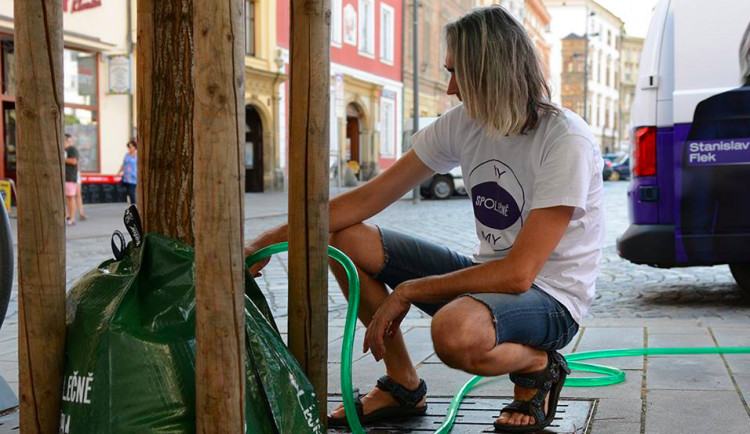 Město kritizuje hnutí spOLečně za přelití stromů v centru. V takovém horku to není možné, reaguje hnutí.