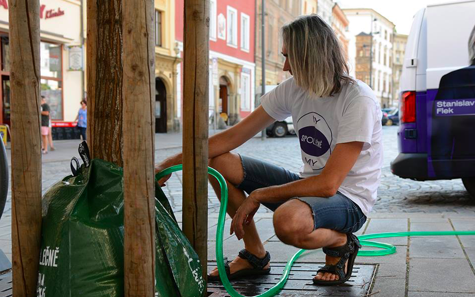 Město kritizuje hnutí spOLečně za přelití stromů v centru. V takovém horku to není možné, reaguje hnutí.