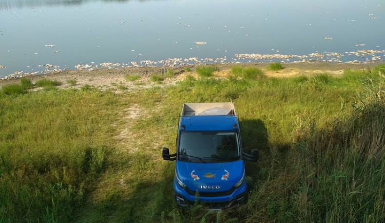 V rybníku Nesyt uhynulo možná až 100 tun ryb, jsou milionové škody.