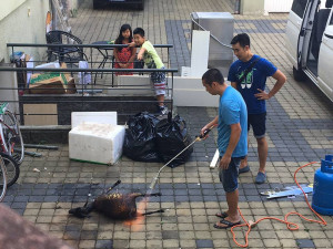 Lidé se pohoršují nad fotografií pořízenou u vietnamské restaurace. Šlo o rodinnou oslavu, říká policie