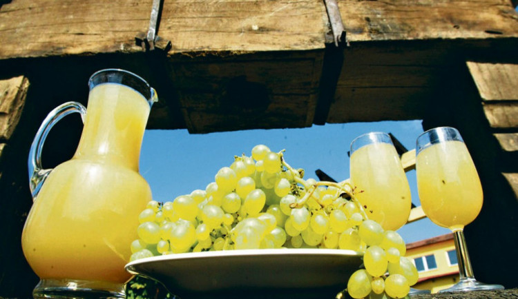 1000x1000-1507906689-ilustracni-foto