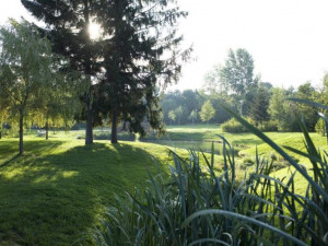 Údržba parků stojí Prahu ve vedrech miliony. Jedno zalití stromu znamená i sto litrů vody