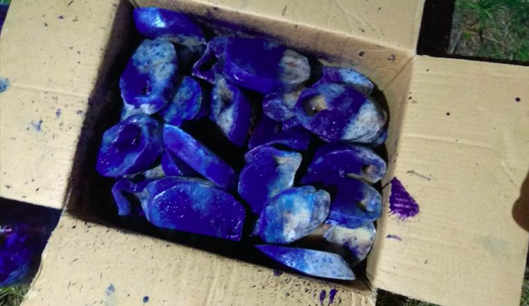 Krajská veterinární správa nařídila zlikvidovat skoro dvě stě kilo nevhodně přepravovaného masa.