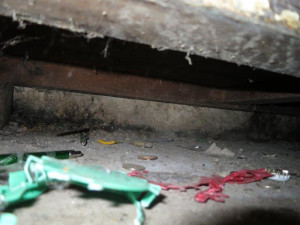 Hygienikům se nelíbilo Mýdlo. Tradiční brněnský bar zavřeli kvůli znečištění.