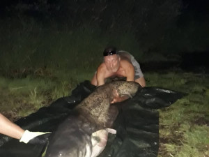 Zkušený rybář Miroslav Tyl chytil na Lipně životní úlovek.