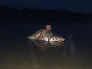 Zkušený rybář Miroslav Tyl chytil na Lipně životní úlovek.