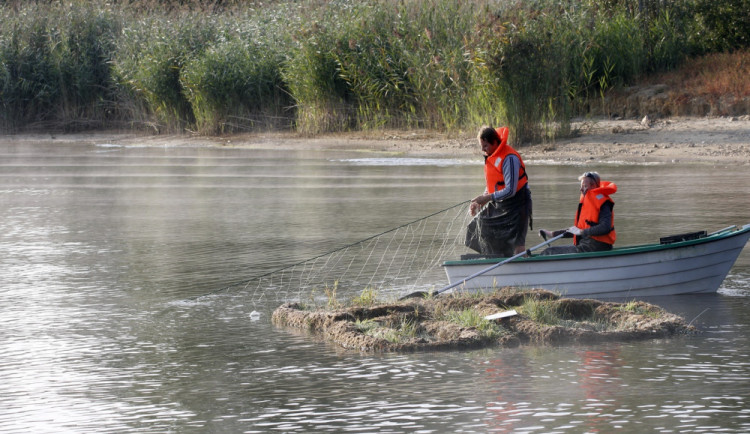 Lipno, největší přehradní nádrž v České republice, od přítoku až k hrázi celý tento týden brázdí výzkumné lodě.