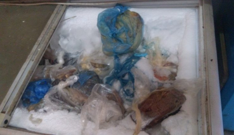 Další zkažené ryby a mořské plody. Tentokrát v holešovické tržnici.