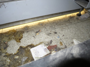 FOTO: Inspekce uzavřela Tesco v Aši. Myší trus mohl kontaminovat potraviny