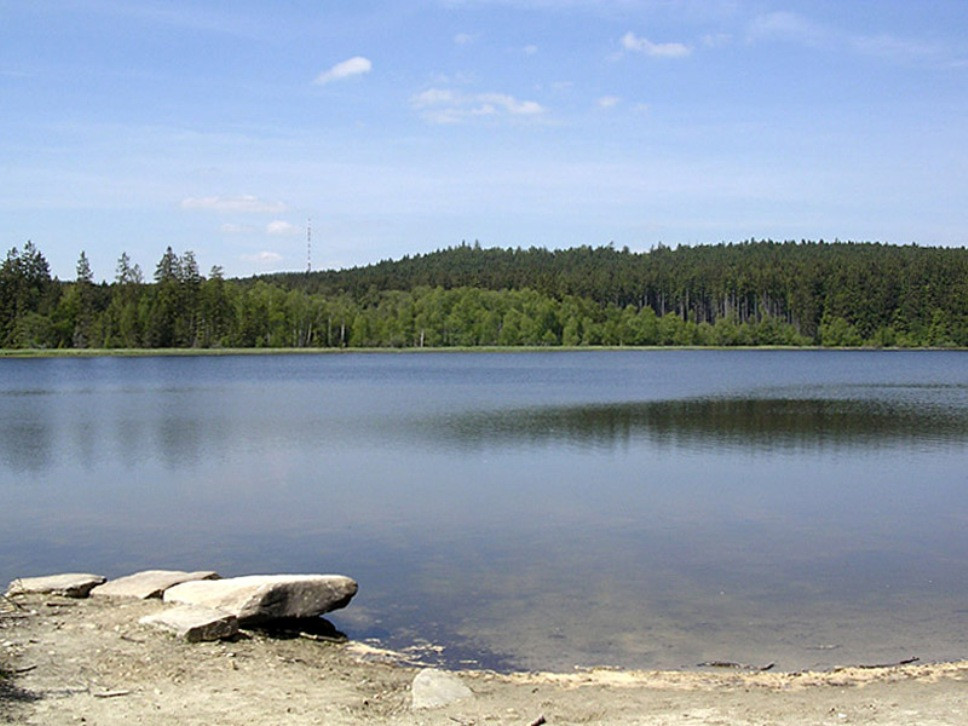 Velký Pařezitý rybník