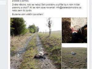 Příspěvek na facebooku